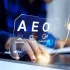 Answer Engine Optimization
